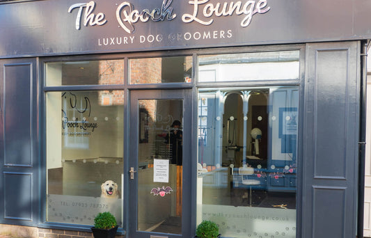 Smart Scheduling: Boost Your Dog Grooming Income & Reduce Stress